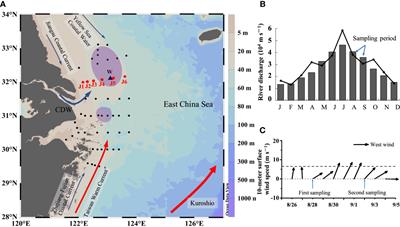 Observational studies of the effects of wind mixing and biological process on the vertical distribution of dissolved oxygen off the Changjiang Estuary